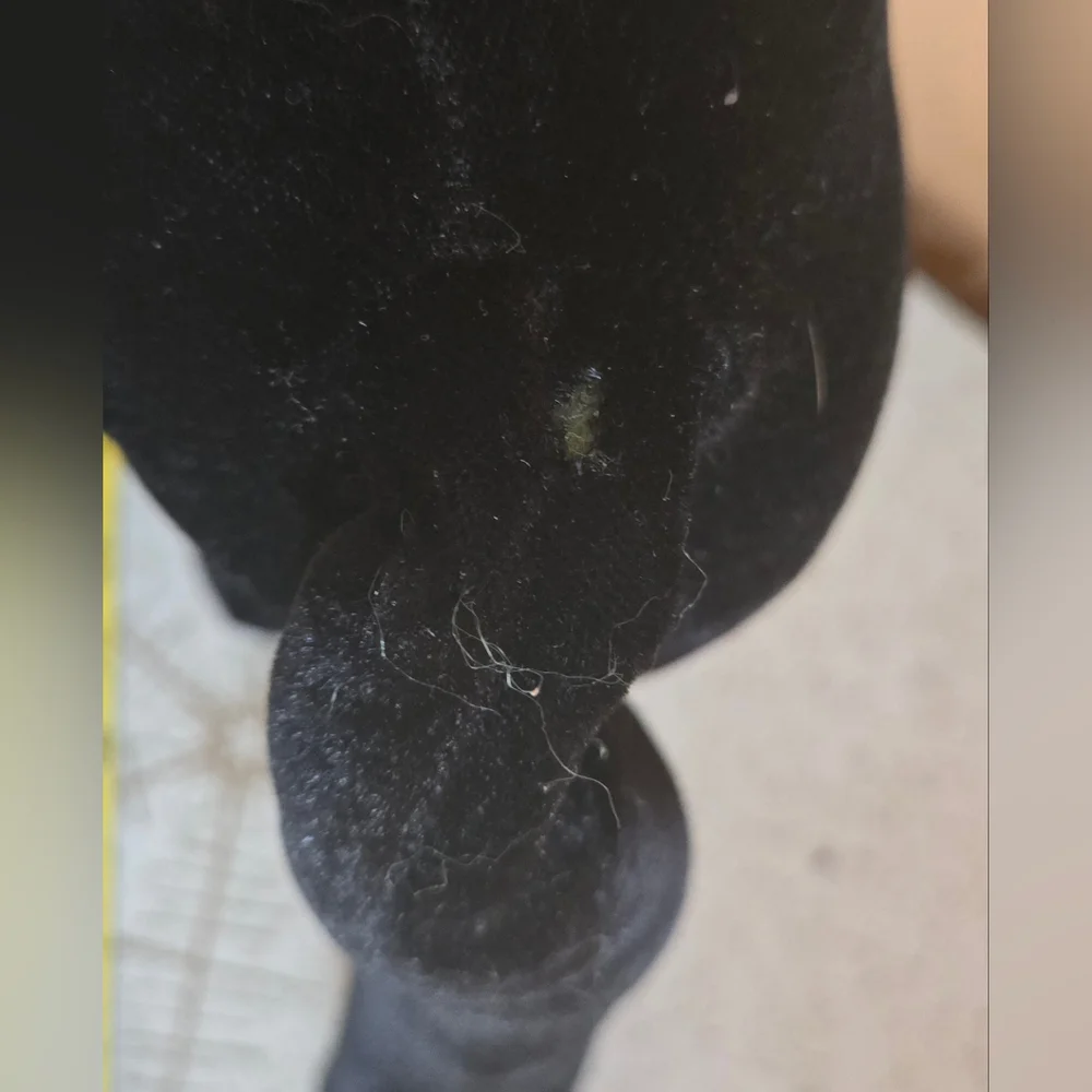 Halloween Cat That Stands With Positional Tail